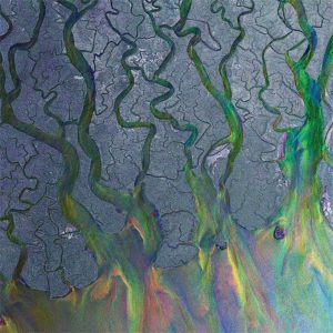 Alt-J – An Awesome Wave (LP)