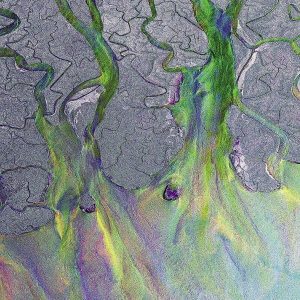 Alt-J – An Awesome Wave (LP)