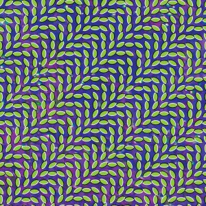 Animal Collective – Merriweather Post Pavilli (2LP)