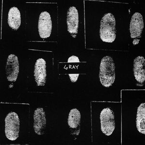 Gray – Shades Of... Anthology (Coloured Vinyl Edition) (3LP)