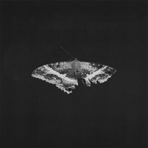 Kendrick Lamar – To Pimp A Butterfly (10th Anniversary Edition) (2LP)