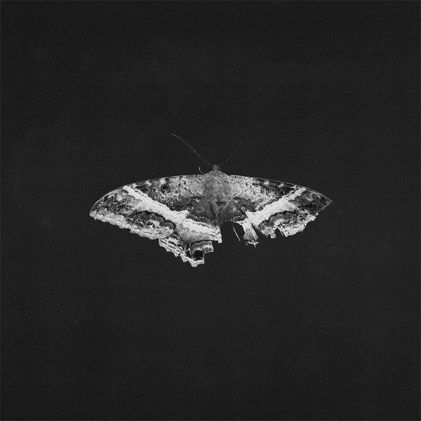 Kendrick Lamar – To Pimp A Butterfly (10th Anniversary Edition) (2LP)