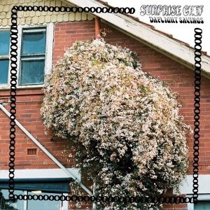 Surprise Chef – Daylight Savings (LP)