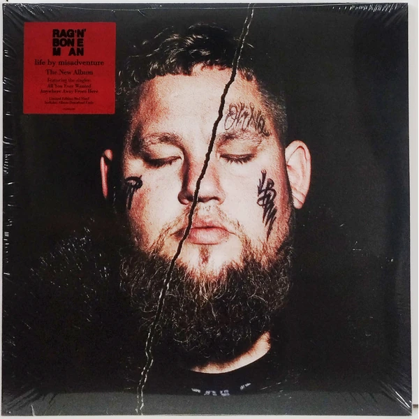 Rag'n'Bone Man - Life by Misadventure (2LP) - Зображення 2
