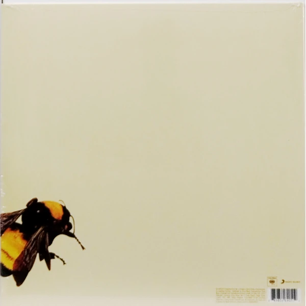 Tyler, the Creator - Scum Fuck Flower Boy (2LP) - Зображення 2