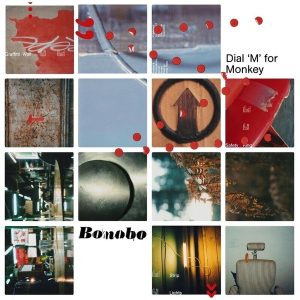 Bonobo – Dial 'M' for Monkey (2LP)