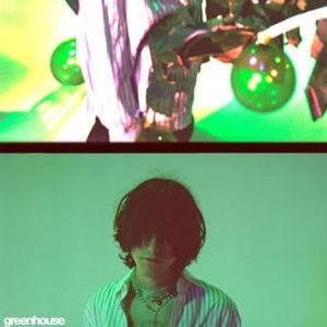 Aldn – Greenhouse (Green Coloured) (LP)