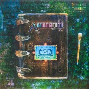 Anamanaguchi – USA (180 g) (2 LP)