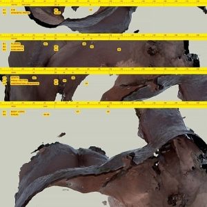 Awe Kid – Body Logic (2LP)