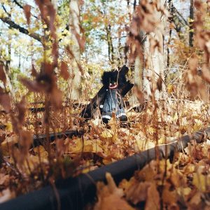 Billy Woods – GOLLIWOG (2LP)