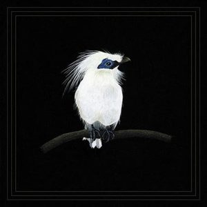 Blundetto – Cousin Zaka Vol. 3 (LP)