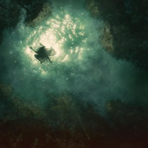 Braids – Companion (EP) (LP)
