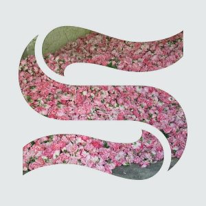 Braxe + Falcon – Step By Step (EP) (LP)