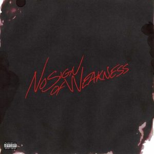 Burna Boy – No Sign of Weakness (LP)