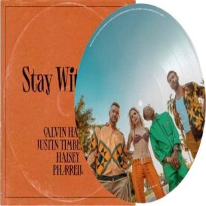 Calvin Harris – Stay With Me (Picture Disc) (12" Single) (LP)