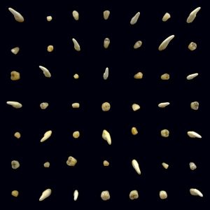 Clipping. – Visions Of Bodies Being Burned (2 LP)