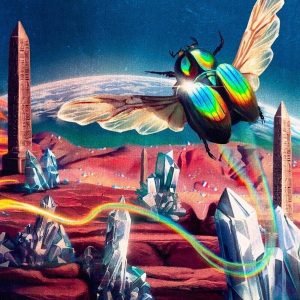 Danger Mouse & Jemini – Born Again (LP)
