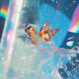 Daphni – Butterfly (2 LP)