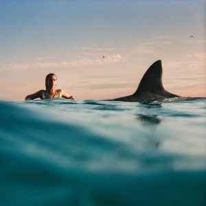 Dua Lipa – Radical Optimism (Indie Red Coloured) (LP)