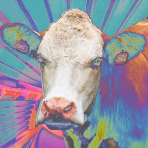 Eyes Of Others – Eyes Of Others (LP)