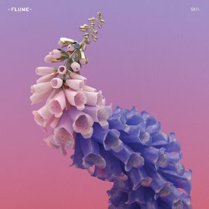 Flume – Skin (Pink Coloured) (2 LP)