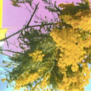 Four Tet – Into Dust (Still Falling) (LP)
