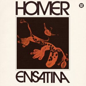 Homer Steinweiss – Ensatina (Limited Indie Edition) (Newt Orange Coloured) (LP)