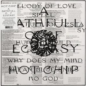 Hot Chip – A Bath Full of Ecstasy (Crystal Clear Coloured) (2 LP)