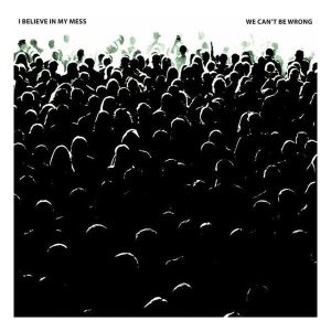 I Believe In My Mess – We Can't Be Wrong (LP)