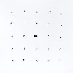 Ian William Craig – & Kago - Split Series #24 (LP)