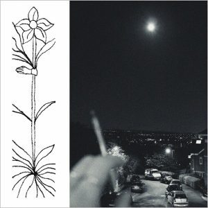 Jabu – A Soft and Gatherable Star (LP)