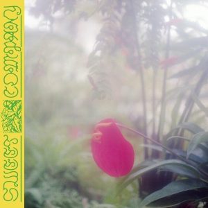 Jabu – Sweet Company (LP)
