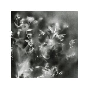 Jacaszek – Kwiaty (LP)