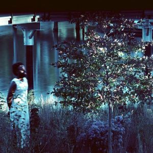 JJJJJerome Ellis – Vesper Sparrow (LP)