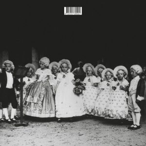 Julia Effekt – Nachtparkett (LP)