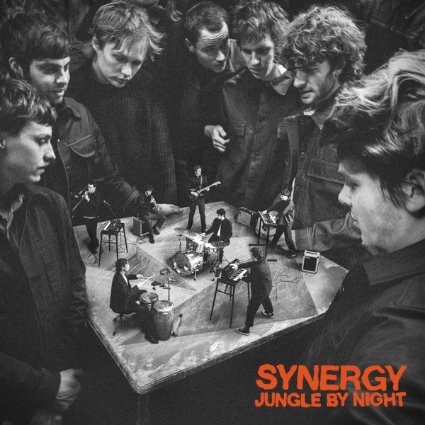 Jungle By Night – Synergy (Limited Edition) (2 LP)