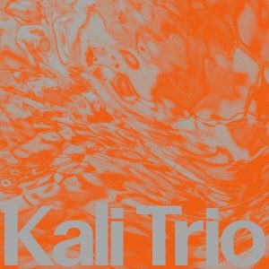 Kali – The Playful Abstract (LP)