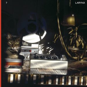 Lary Seven – Larynx (2 LP)