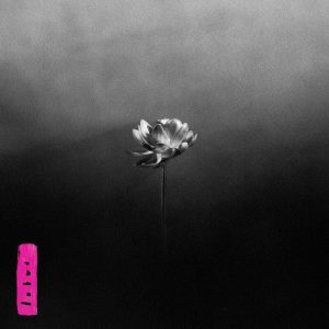 Little Simz – Lotus (LP)