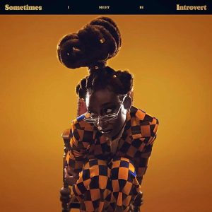 Little Simz – Sometimes I Might Be Introvert (2LP)