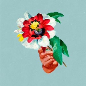 Maribou State – Kingdoms In Color (LP)