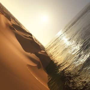 Mark Pritchard – Under The Sun (2025 Reissue) (2LP)