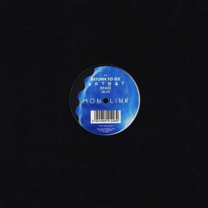 Monolink – Remixes (LP)