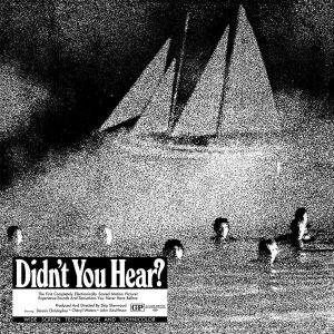 Mort Garson – Didn't You Hear? (Limited Edition) (Silver Coloured) (LP)