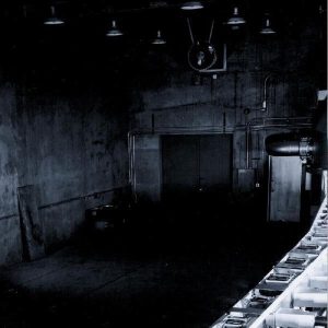 Murcof – Cosmos (Limited Edition) (Coloured) (2 LP)