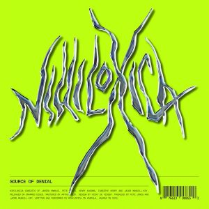 Nihiloxica – Source Of Denial (LP)
