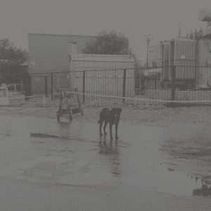 Nivhek – After Its Own Death / Walking In A Spiral Towards The House (Liz Harris) (2 LP)