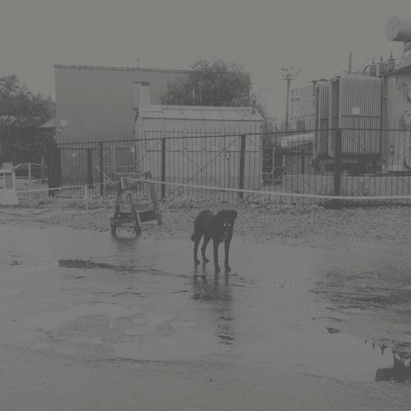Nivhek – After Its Own Death / Walking In A Spiral Towards The House (Liz Harris) (2 LP)