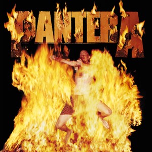 Pantera – Reinventing the Steel (LP)