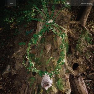 Pharmakon – Maggot Mass (Limited Edition) (Coloured) (LP)